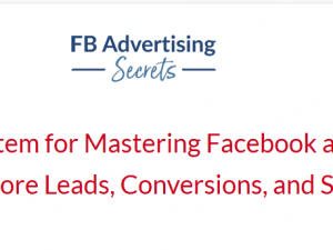 Andra Vahl – Facebook Advertising Secrets download